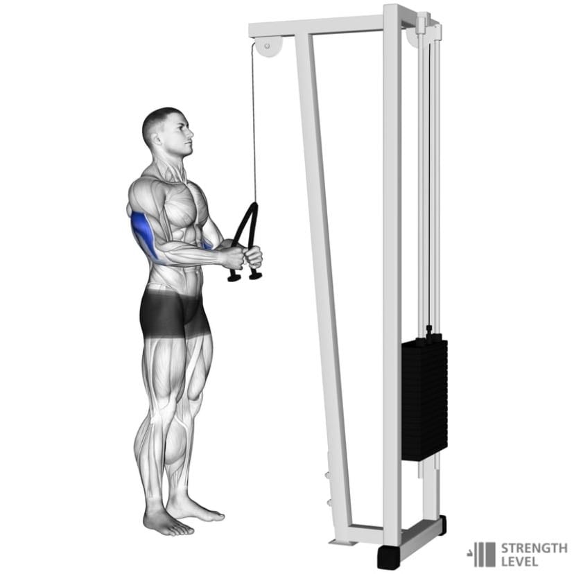 Tríceps rope push down