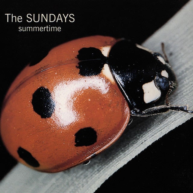 Nothing Sweet - Song · The Sundays