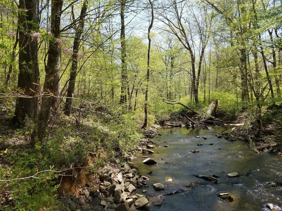 Johnston Mill Nature Preserve