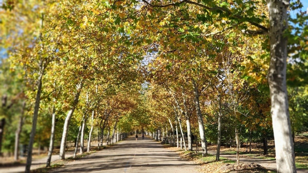 La Casa de Campo de Madrid