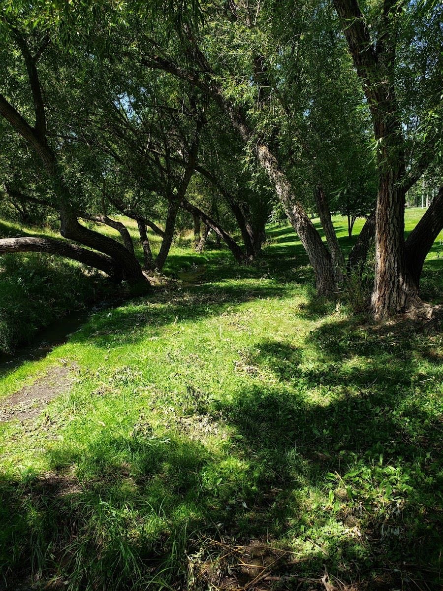 Pioneer Park