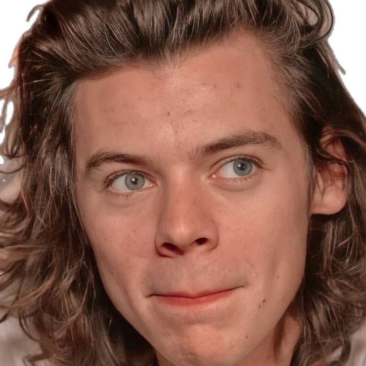 Long medium frat harry hair - just all harry