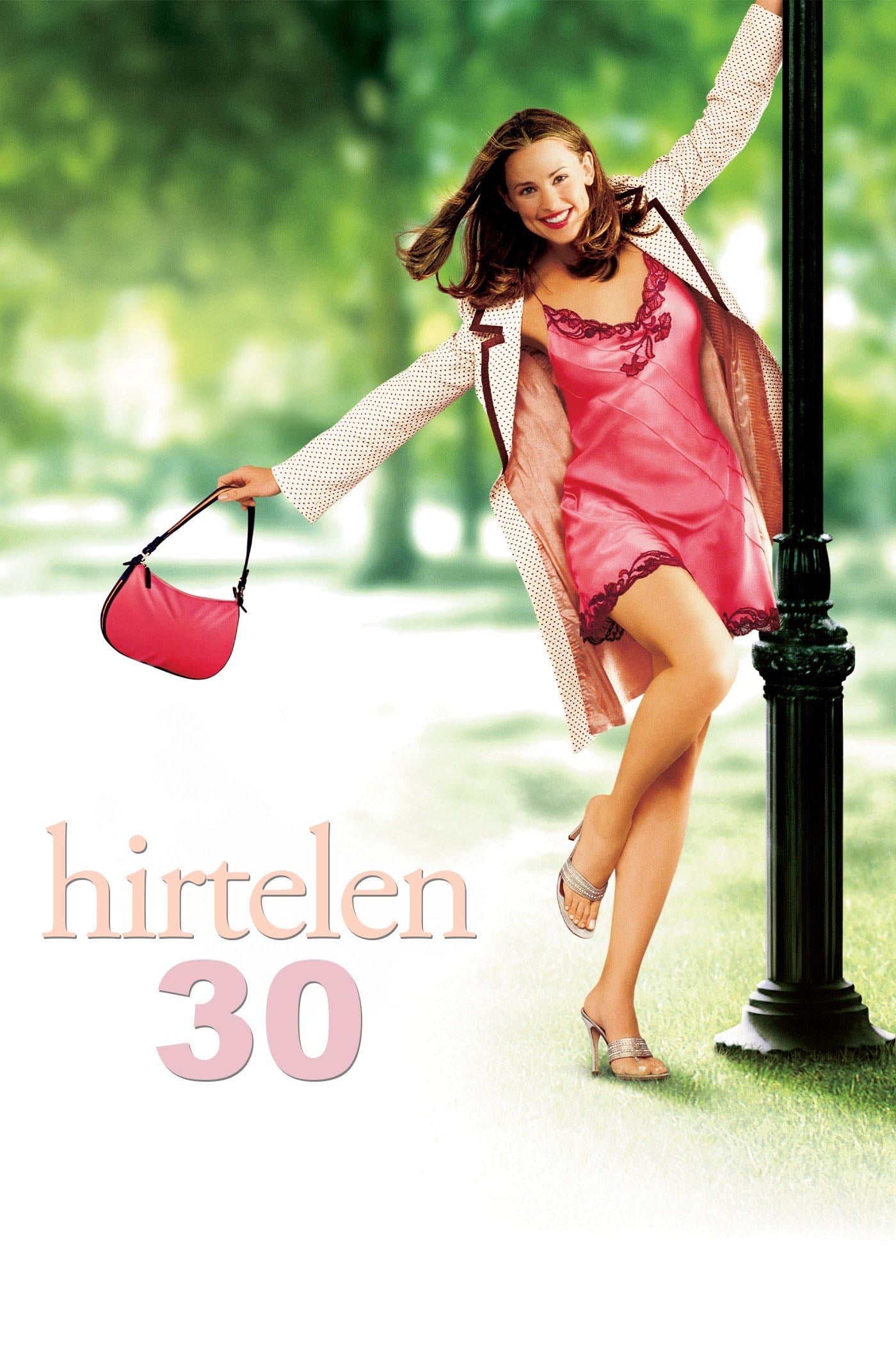 Si yo tuviera 30 - Gary Winick · 2004