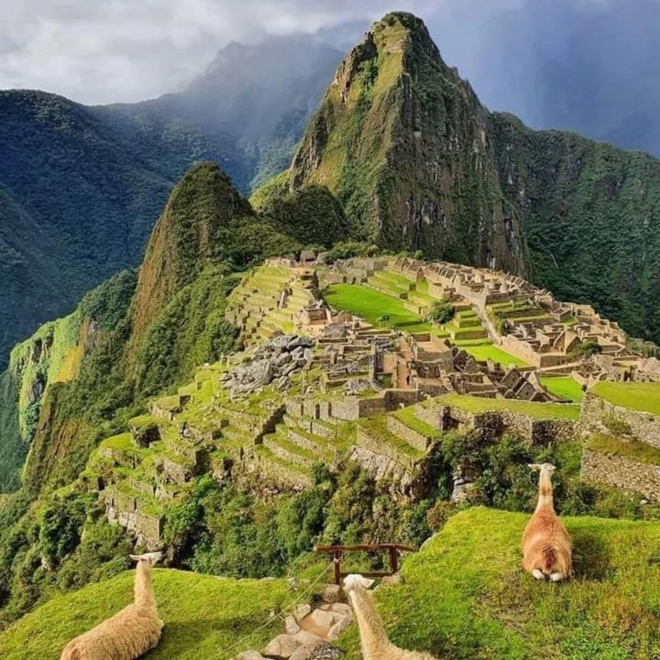 Subir al Machu Picchu, en Perú