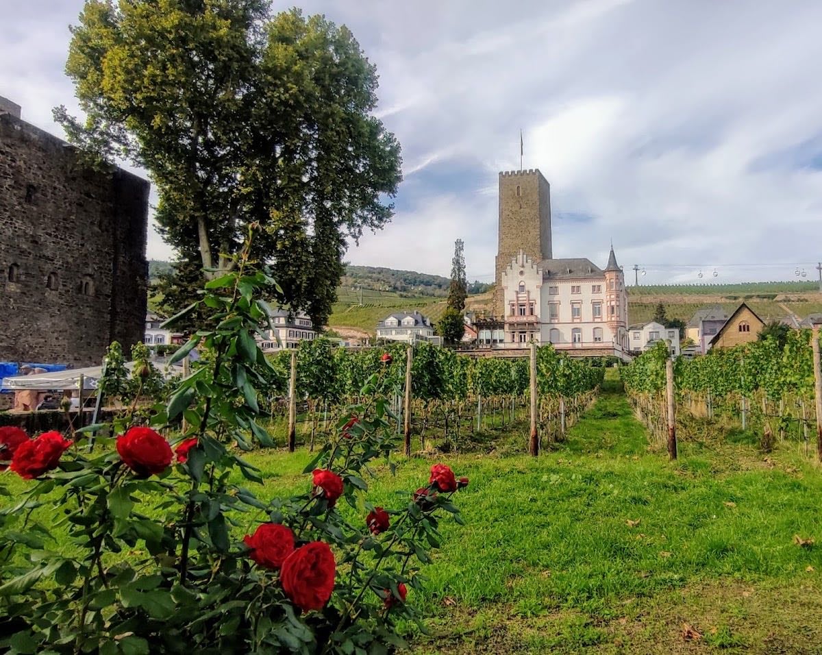 Rüdesheim am Rhein