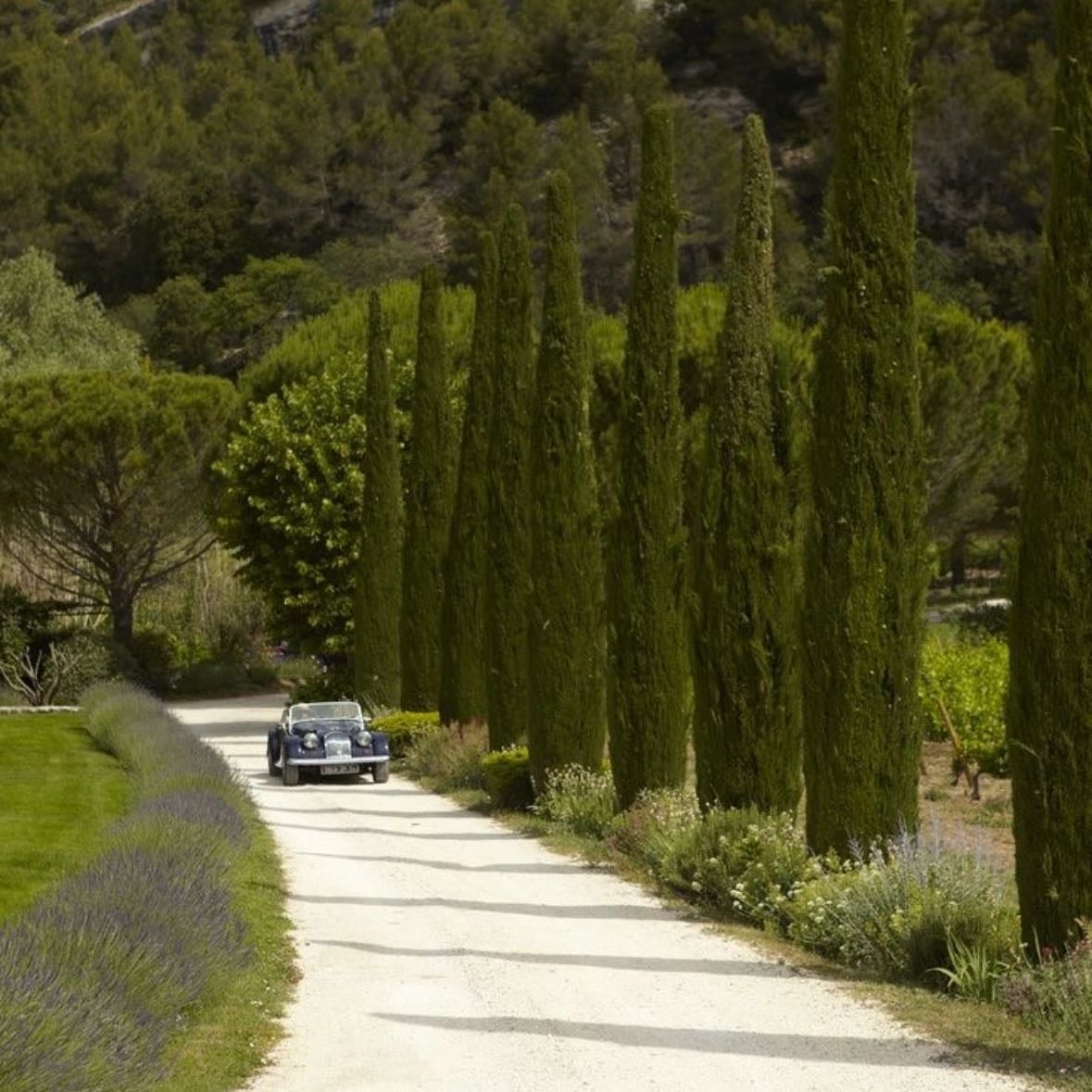 Provenza