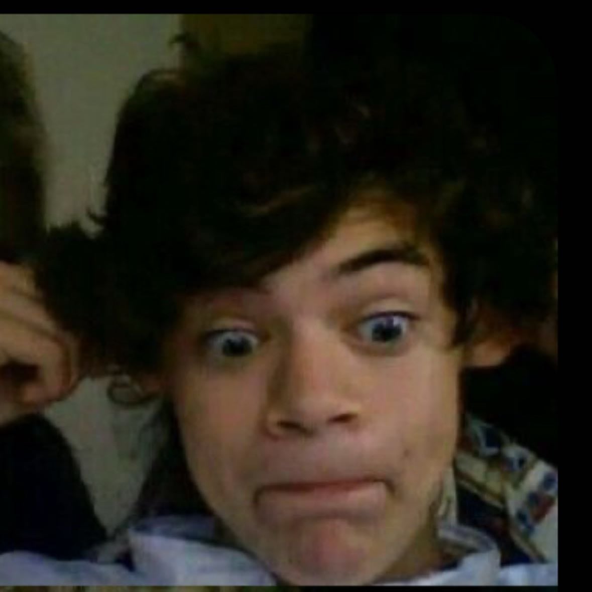 fetus harry styles