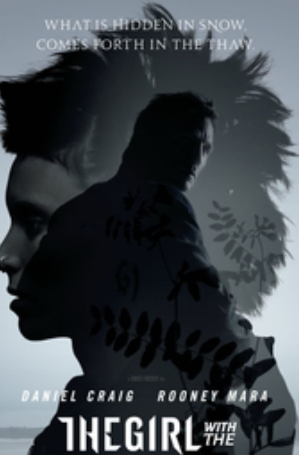 The Girl with the Dragon Tattoo - David Fincher · 2011