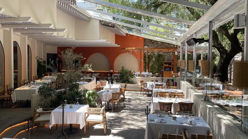 Alaia Terraza