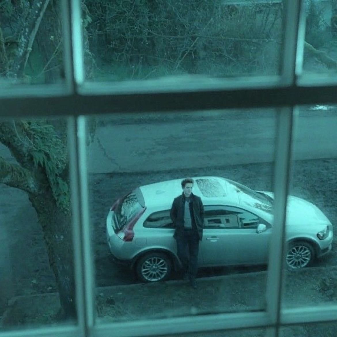 Twilight - Catherine Hardwicke · 2008