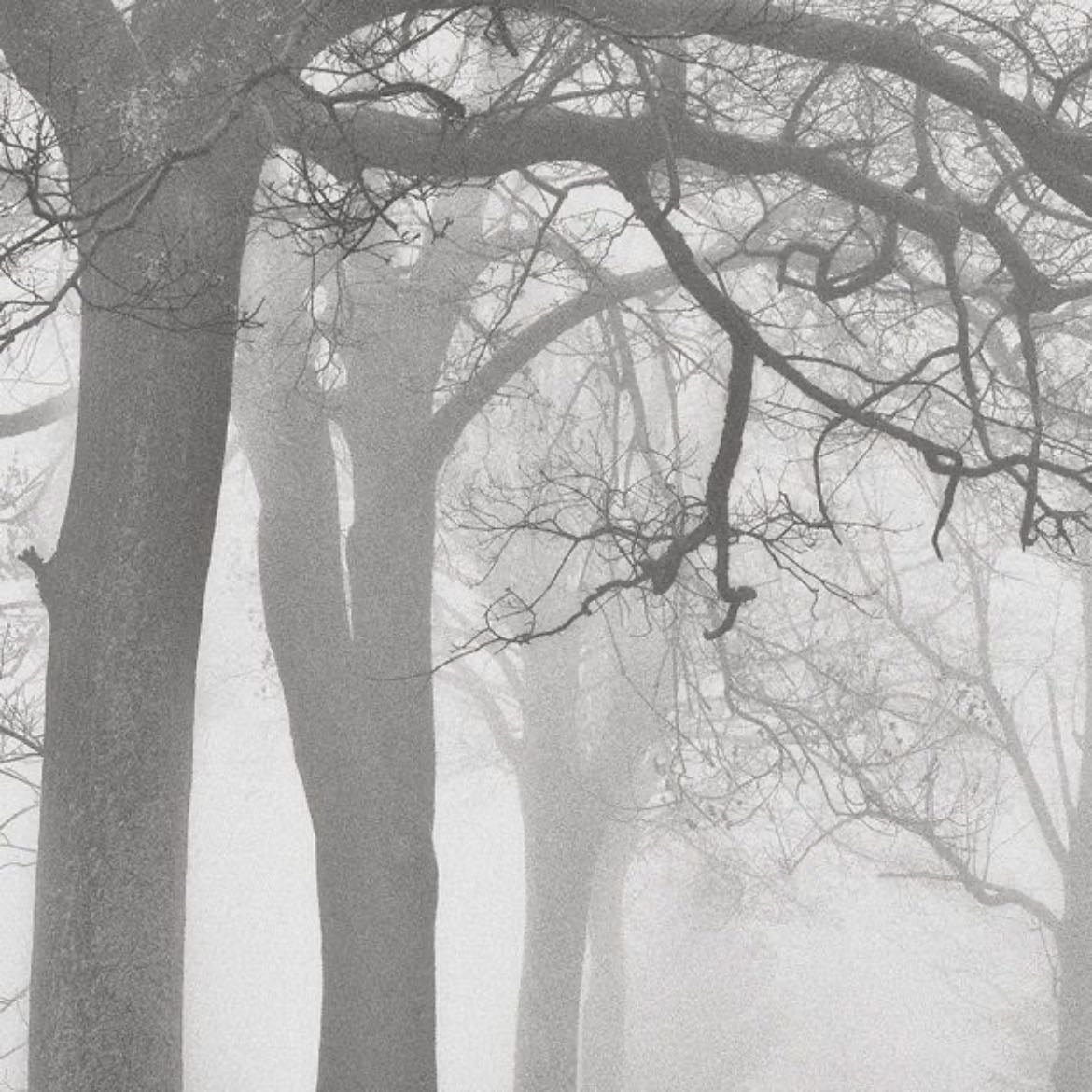 Stopping by Woods on a Snowy Evening - Robert Frost