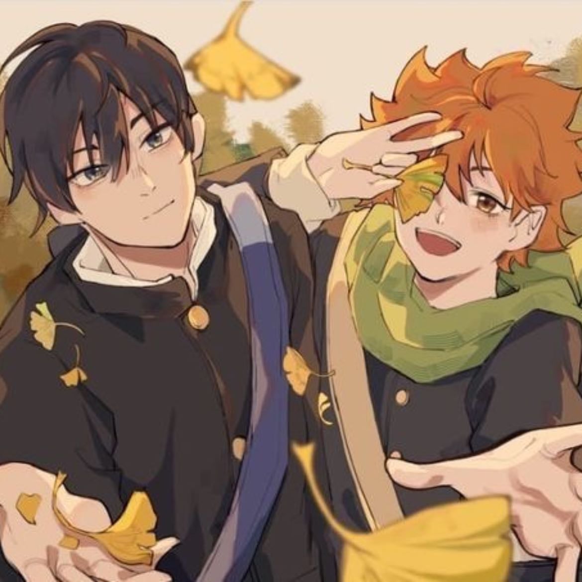 kagehina - Haikyuu !