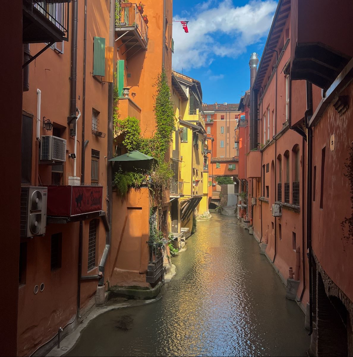 Bologna. Solo trip