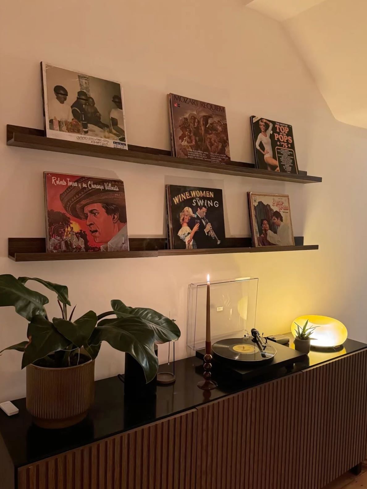 Vinyl shelves
