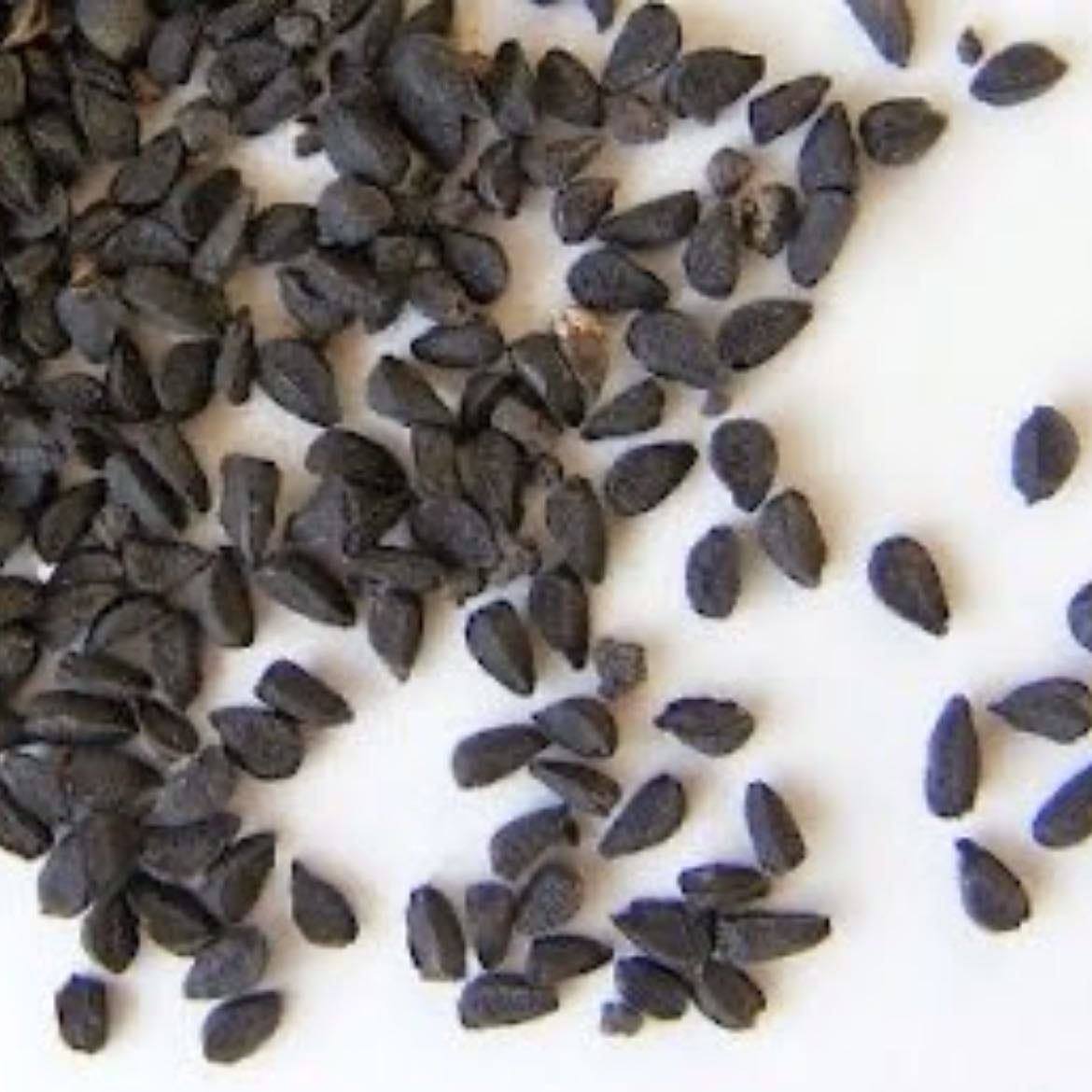Aceite de comino negro