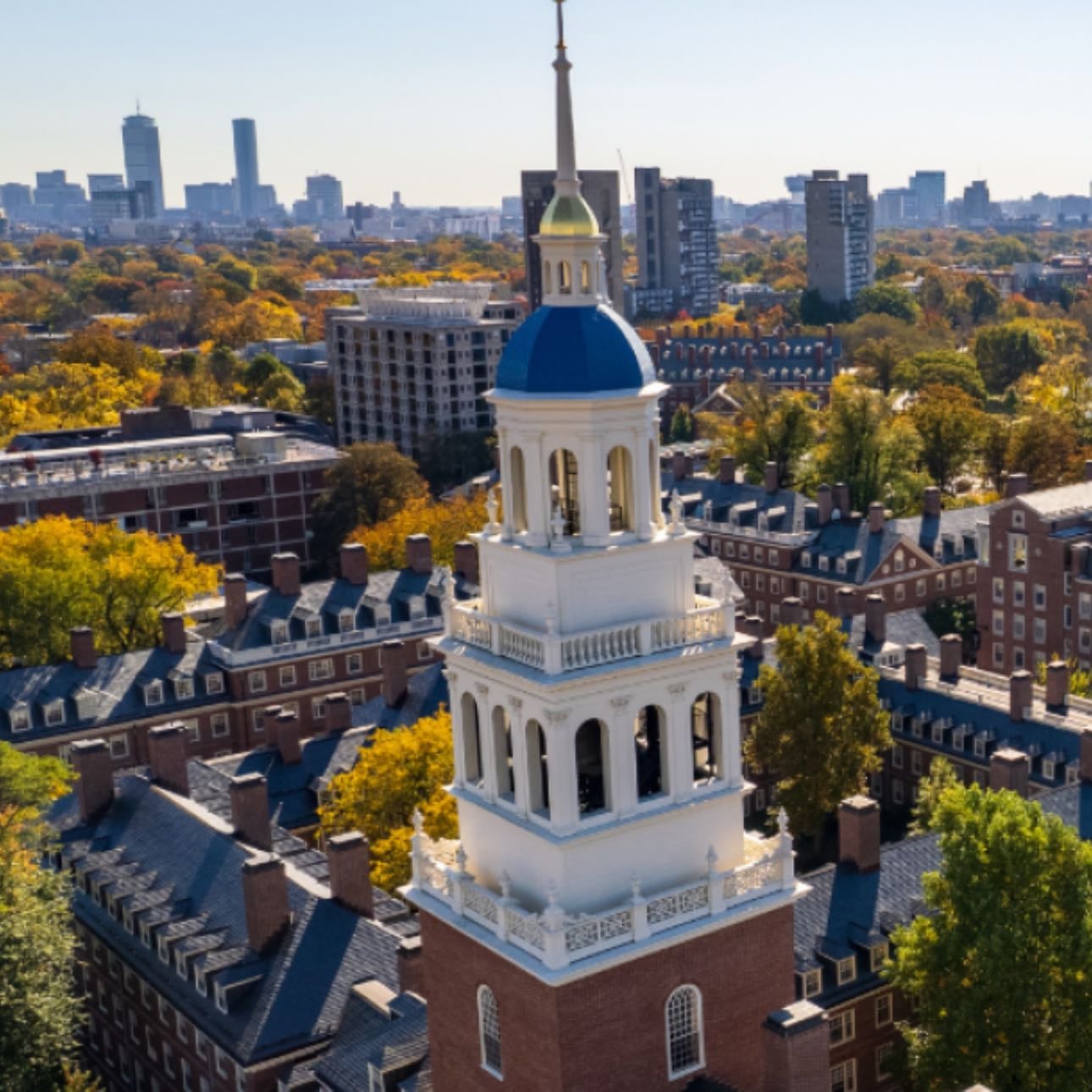 Harvard University