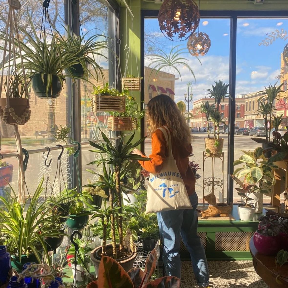 plant parenting