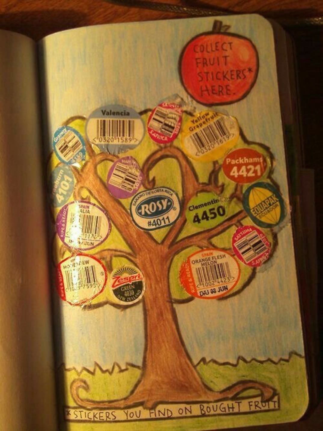 Fruit stickers