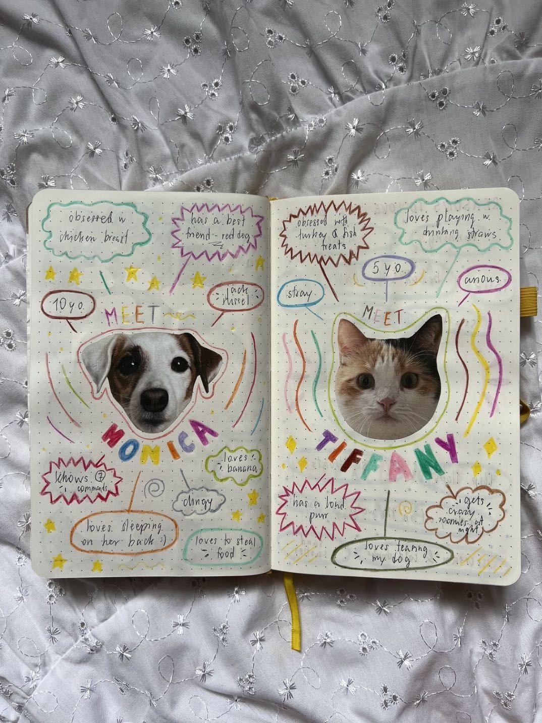 About pets