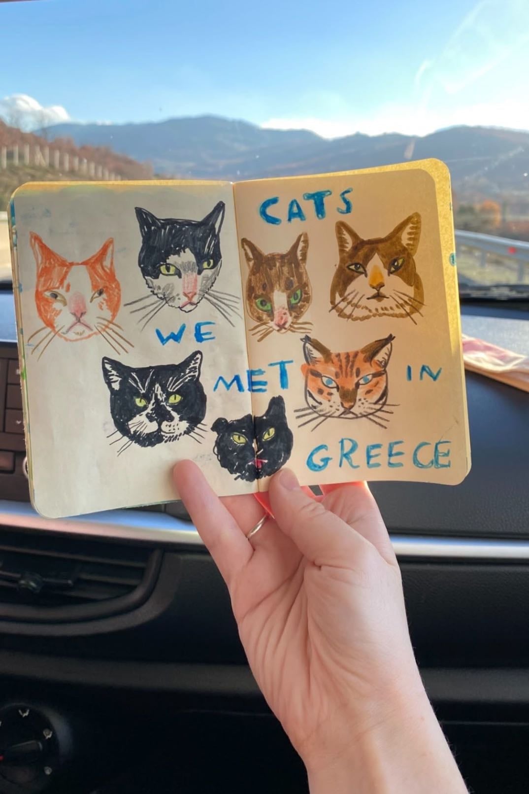 Cat portraits