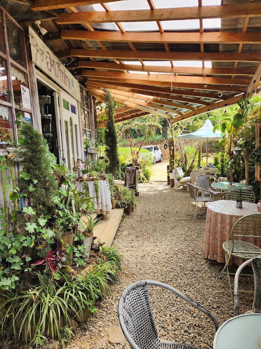 Kuminí Café Bistró - Santa Elena