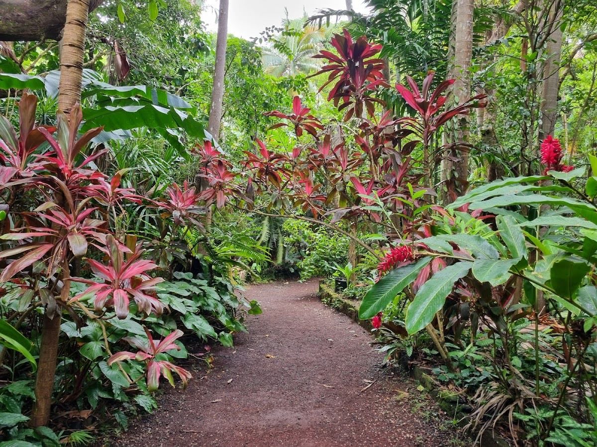 Jardin des Parfums et des Épices