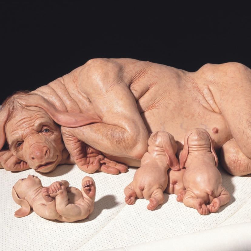 Patricia Piccinini - Rapport nature/biotechnologie