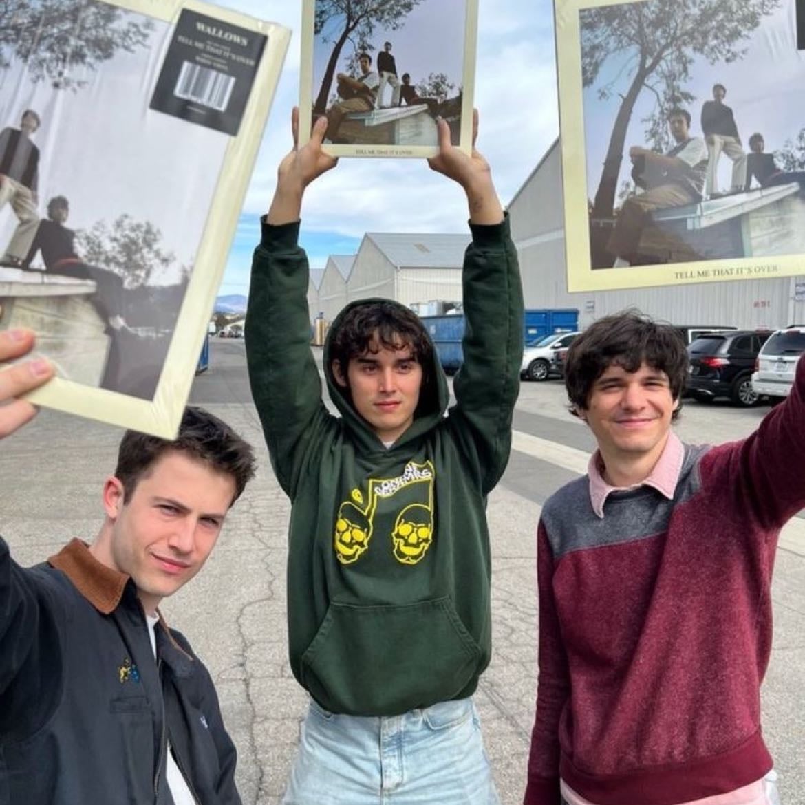 Wallows