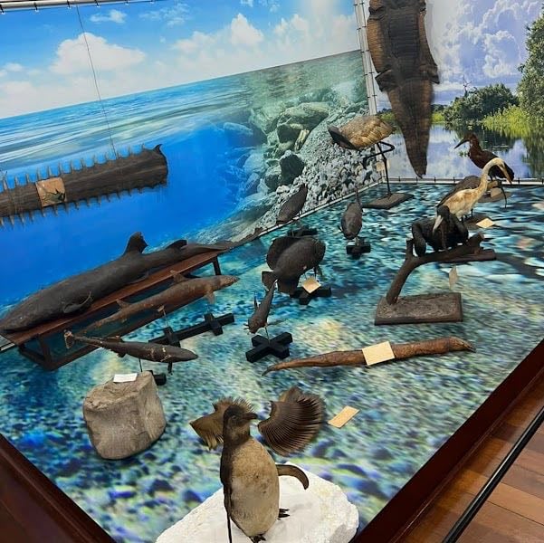 Museu de História Natural Irmã Lydia Renz