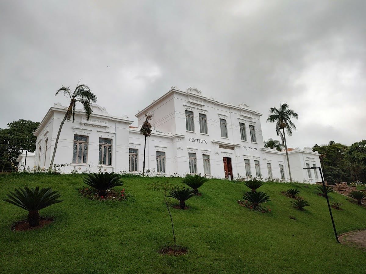 Instituto Butantan