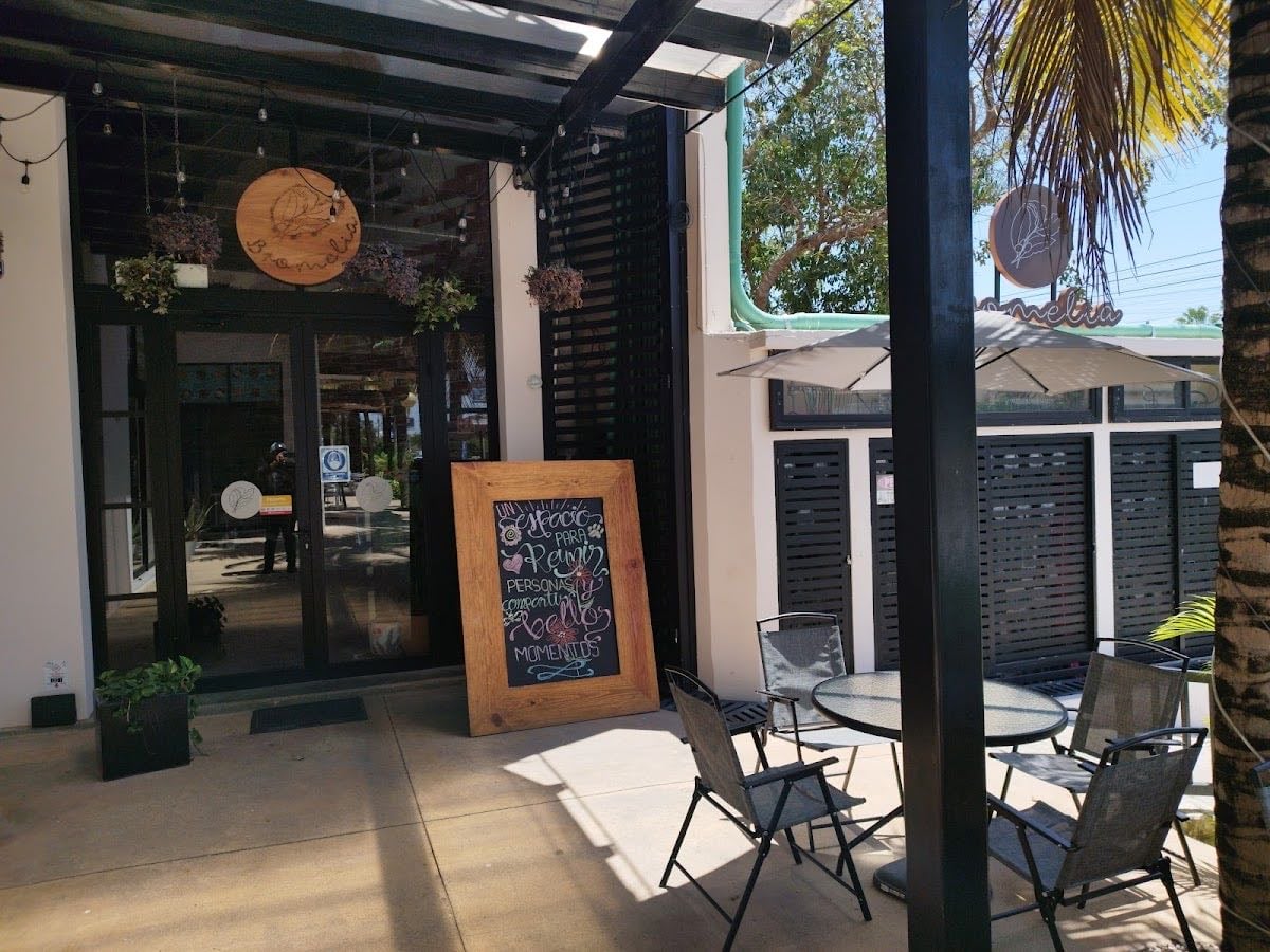 Bromelia Cancún
