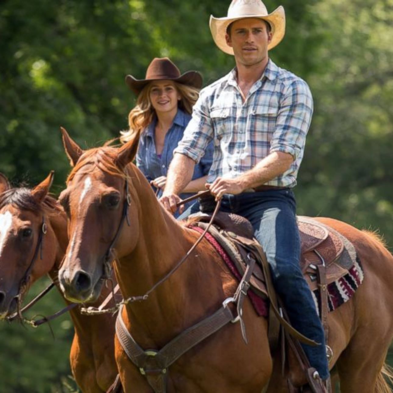 The Longest Ride - George Tillman Jr. · 2015