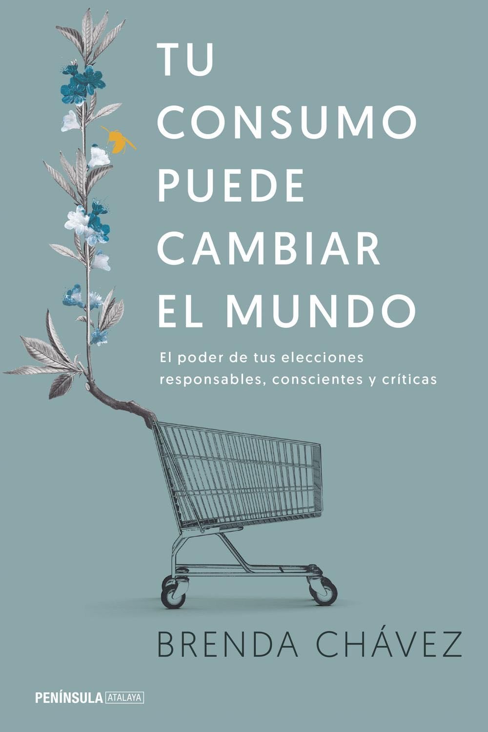 Tu consumo puede cambiar el mundo - Brenda Chávez · 2017