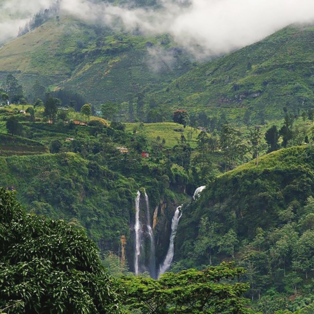 Nuwara Eliya - Para cojer el tren hacia Ella 🙏🏼