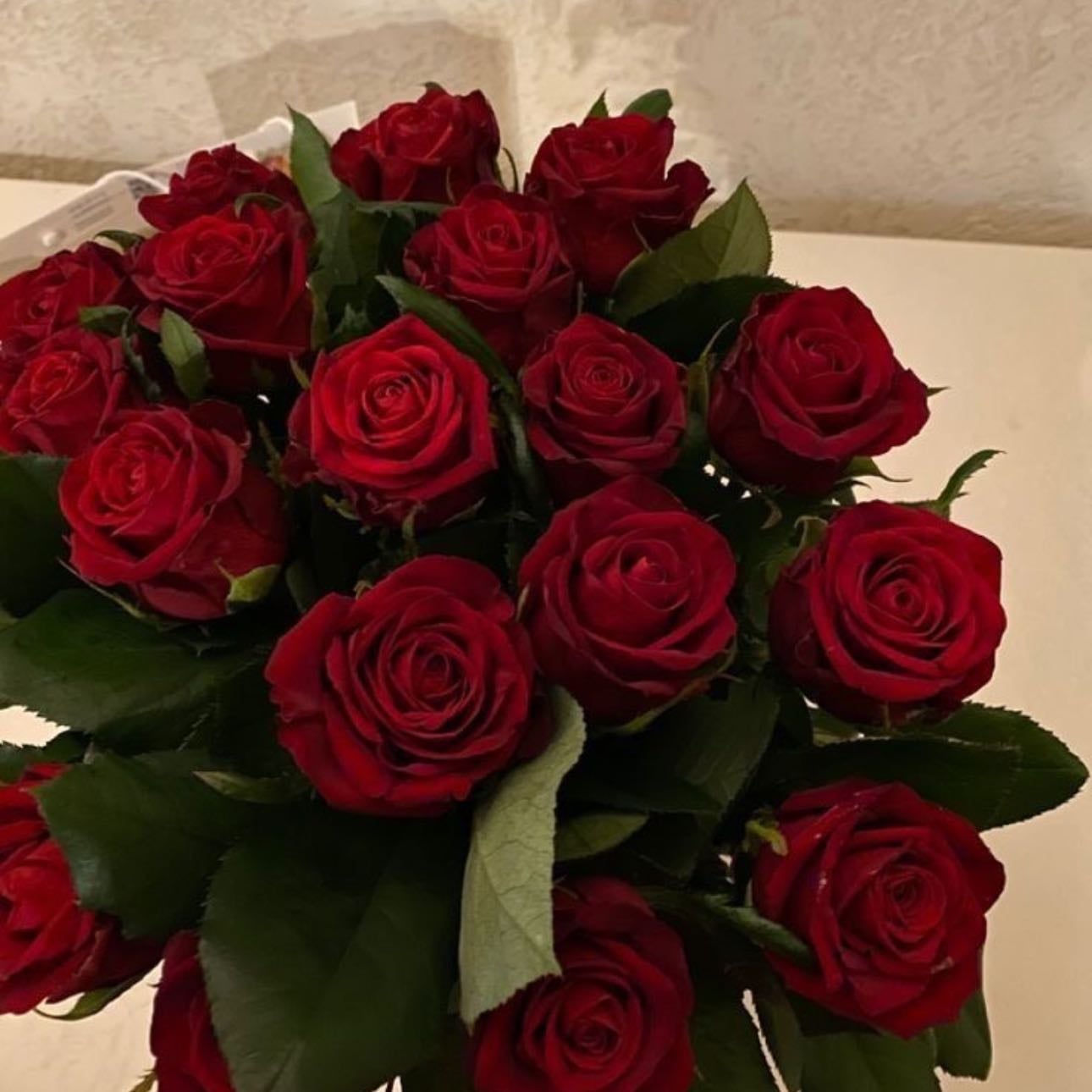 Rosas Rojas