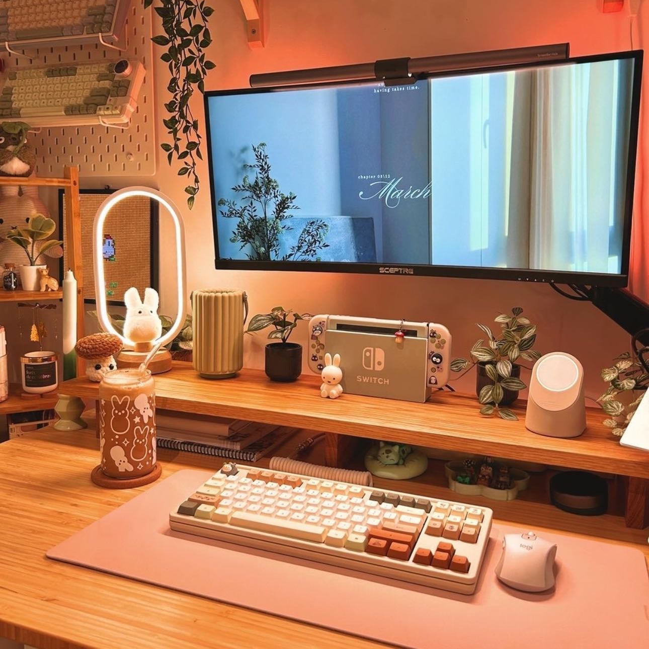 Gaming set up - pc, ps4 & nintendo switch