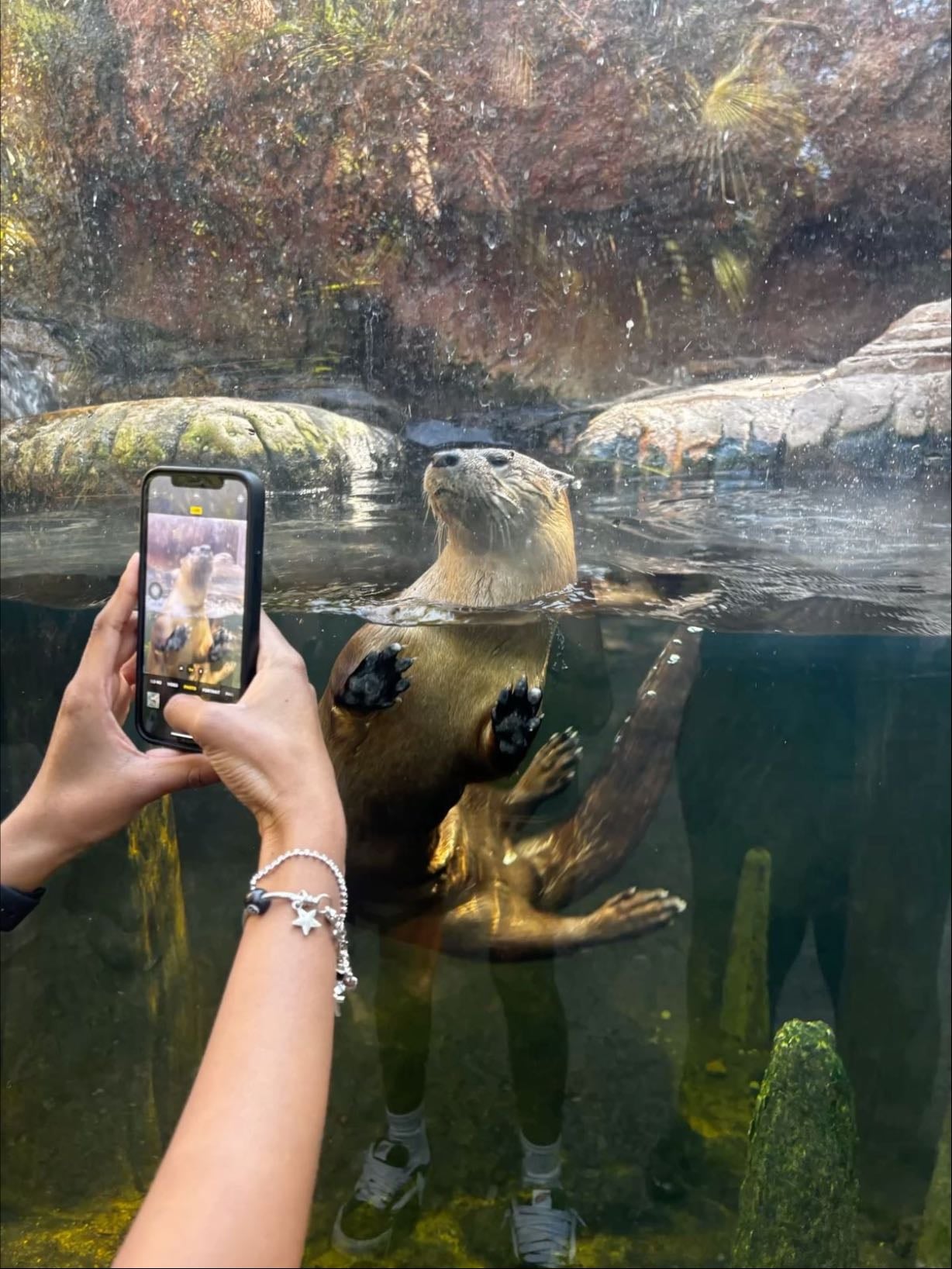 Zoo