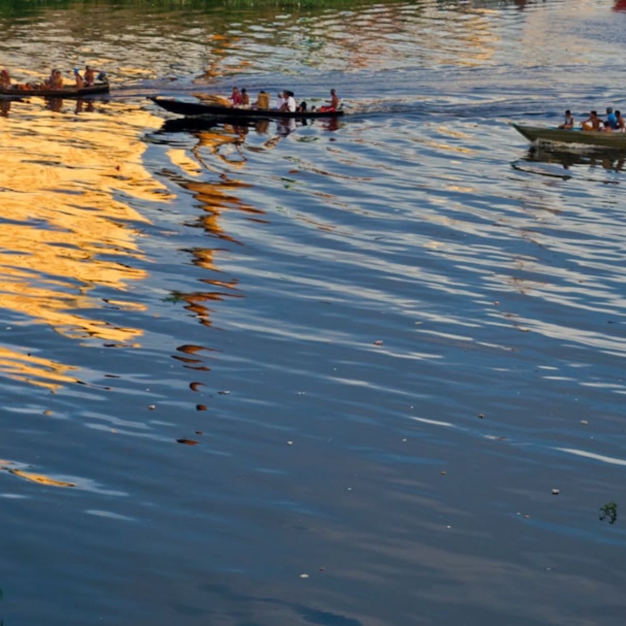 AMAZONAS