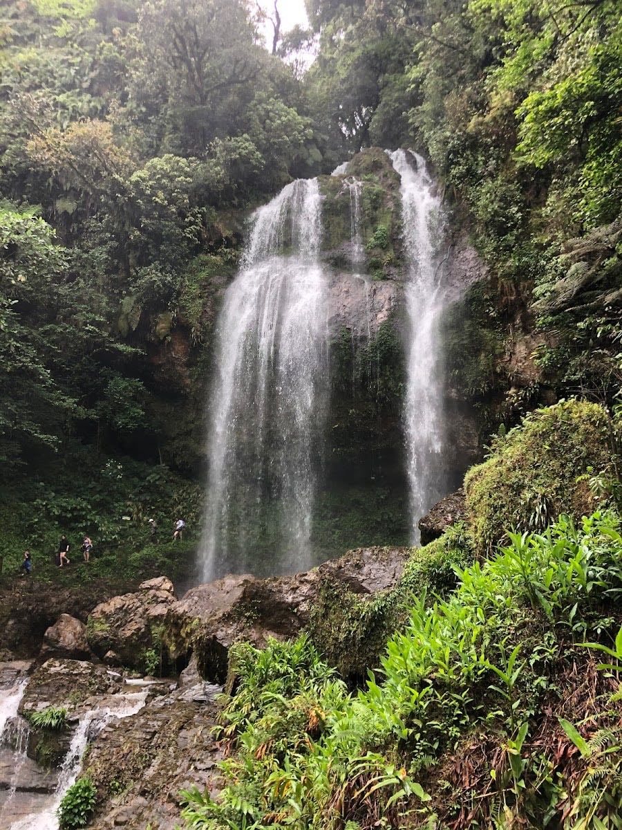 Cascada Coraz贸n Del Bosque