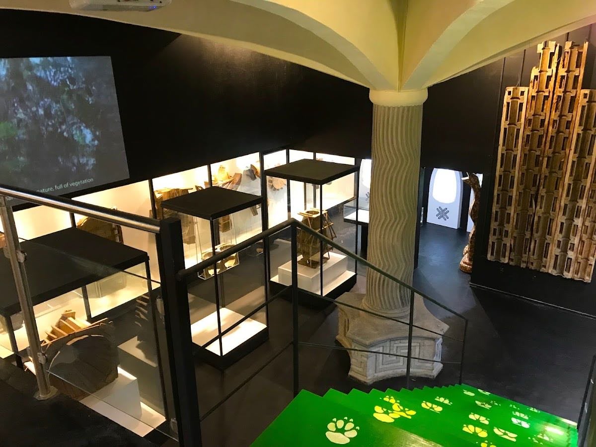 Museo Edward James