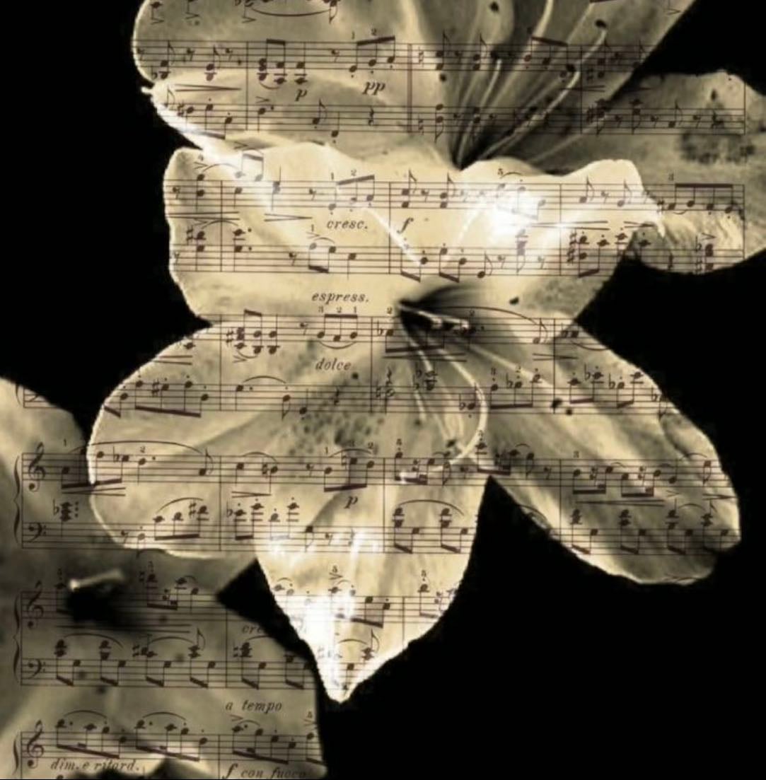 musicγ»β₯γ»