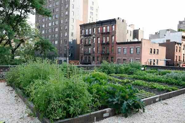 Rosemary's - One of our absolute NYC faves!