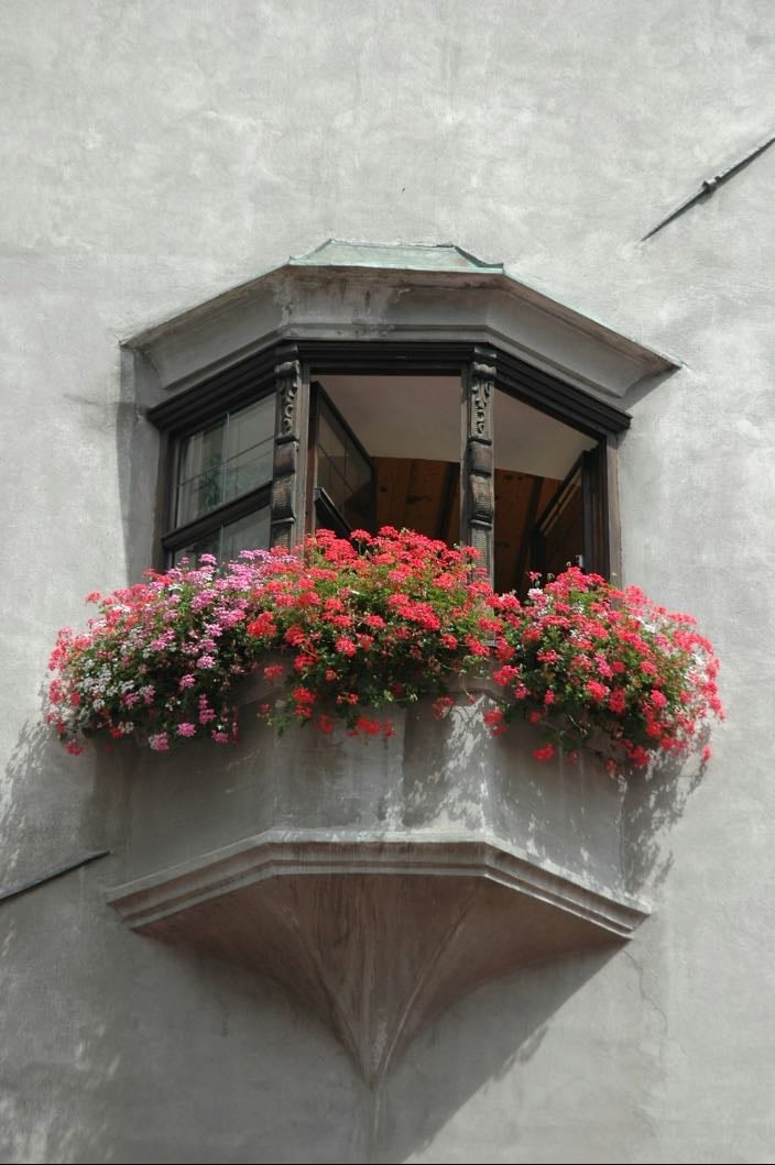 bay windows