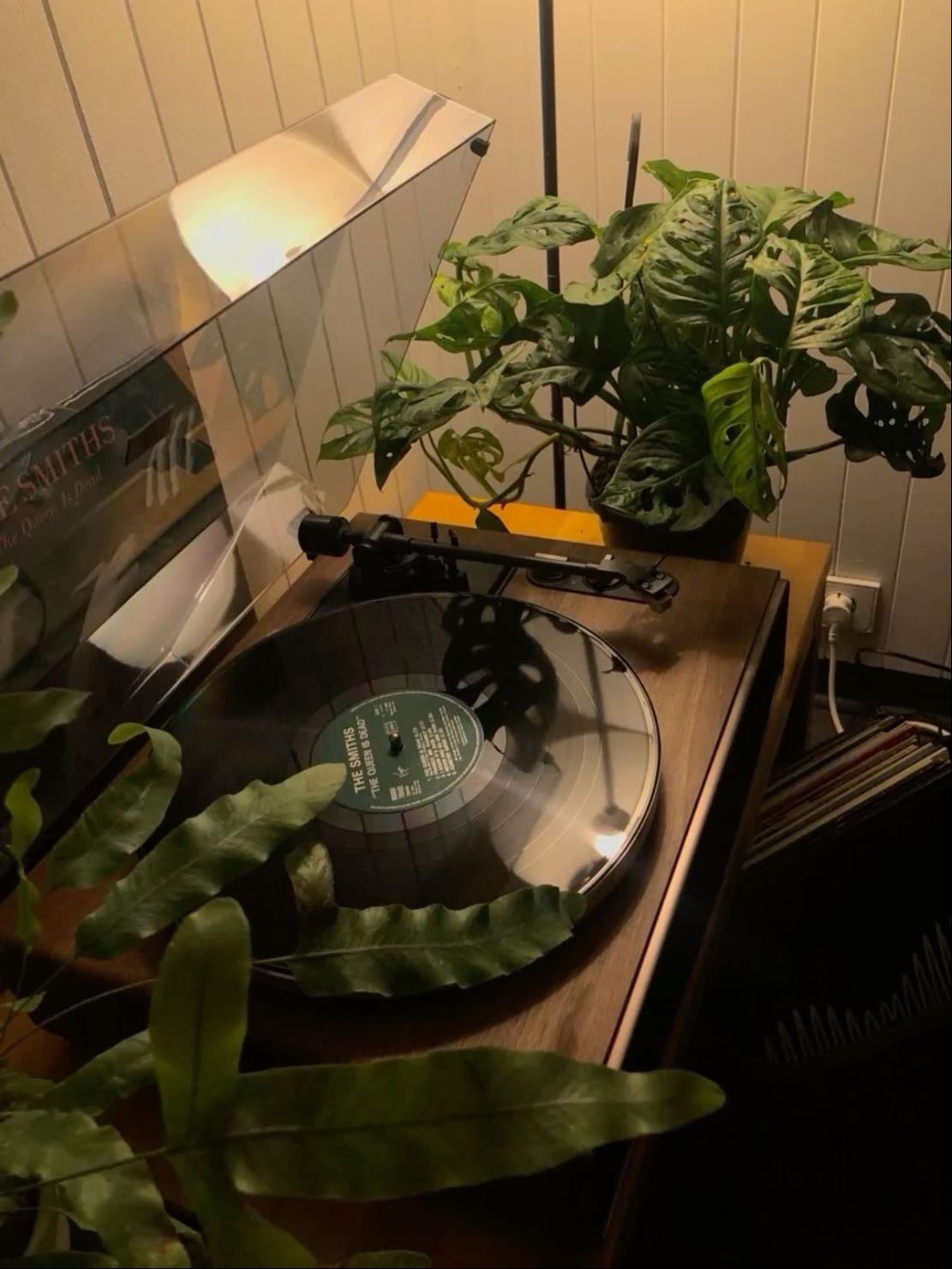 record player + vinyls