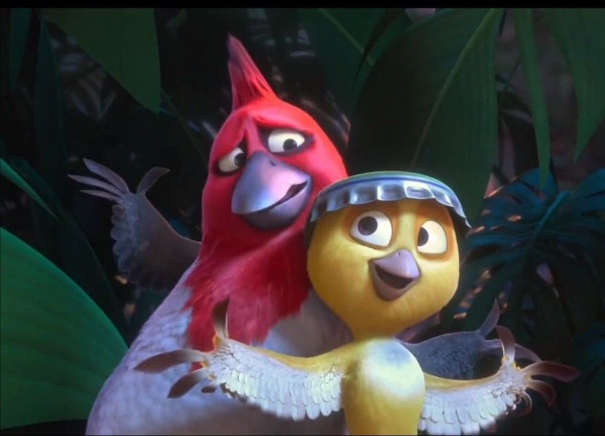 rio birds