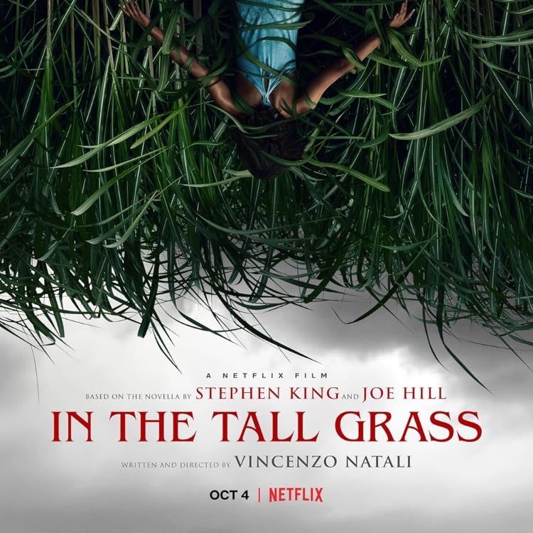 In the tall grass - 9.5 / 10