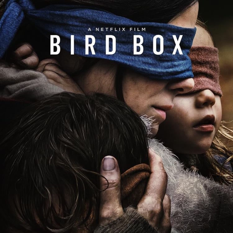 Birdbox - 10 / 10