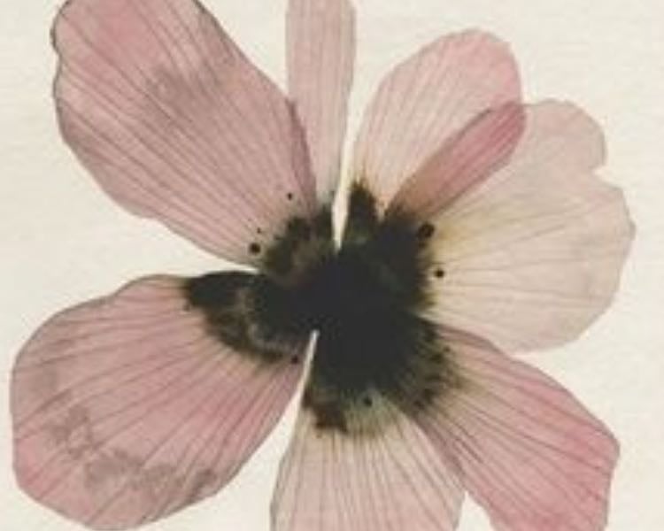 fantôme