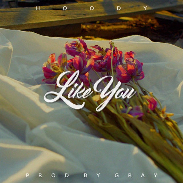 Like You - Song · Hoody