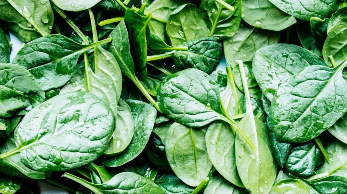 Spinach - Espinaca